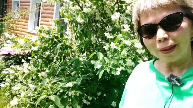 Гидрофойл:от распаковки до сборки!#гидрофойл#доскадлясерфинга#подводныекрылья#кайтсерфинг смотреть онлайн