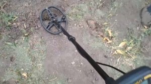 Купил металлоискатель Tianxun TX 850M