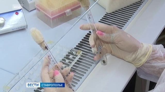 Иксодовые клещи атакуют жителей Ставрополья