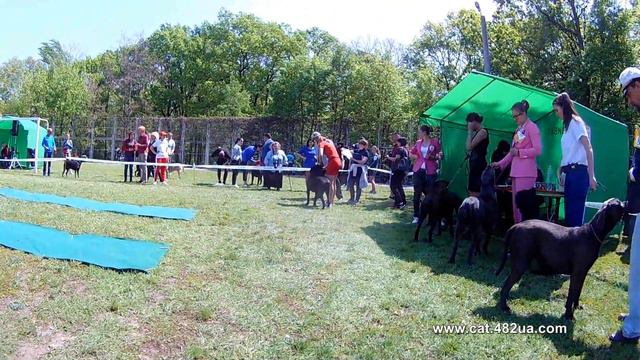 3 Выставка собак, Пятихатки, 2019, КСУ, Союз Віват, Харьков смотреть онлайн