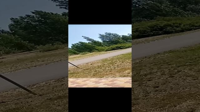 VID_20230603_103933 смотреть онлайн