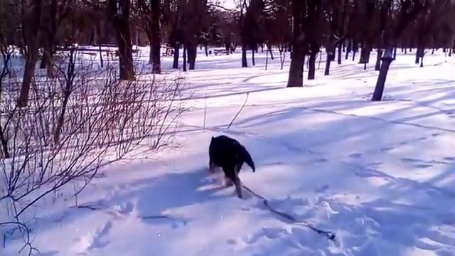 КОМАНДА КОМНЕ КАК ДОБИТЬСЯ ВЫПОЛНЕНИЯ смотреть онлайн