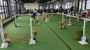 Соревнования в Максима парк | Хоббихорсинг | Maxima park