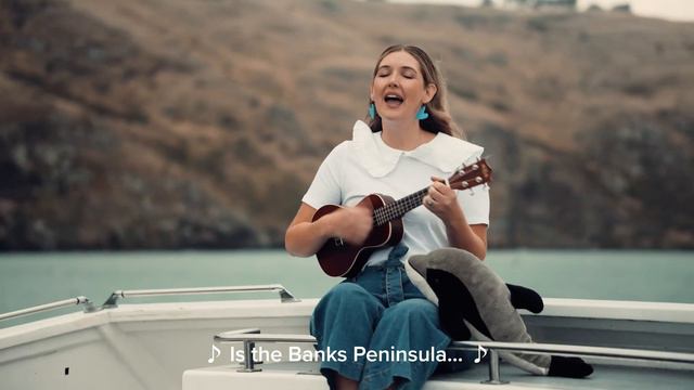 Kiwi of the Sea - Hector's Dolphin | Collab with @blackcatcruises смотреть онлайн