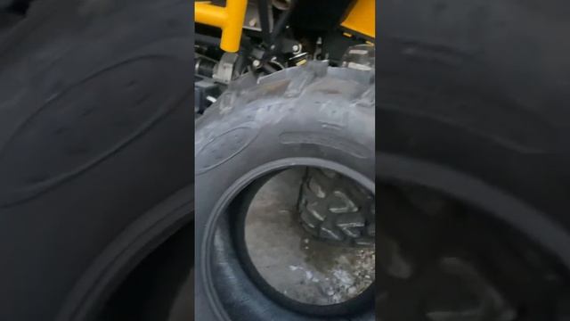 Новая резина на мой квадроцикл Стелс Гепард 650 2022 года. смотреть онлайн