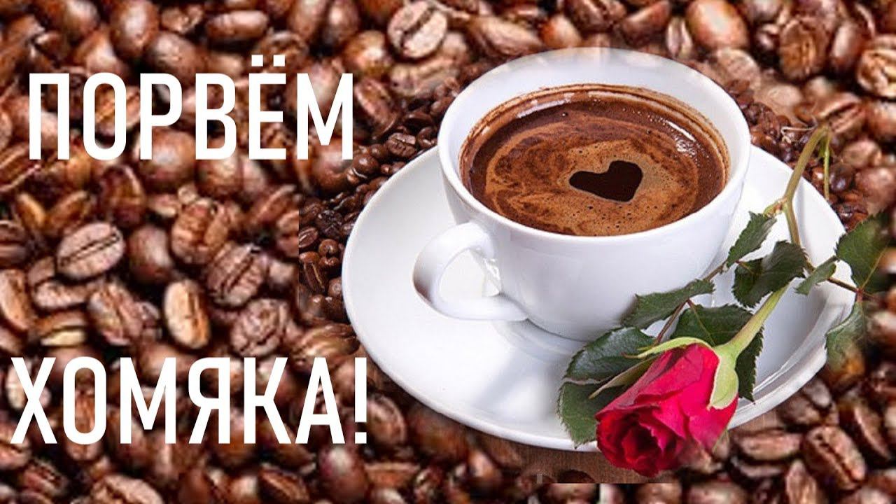 #301. Порвём хомяка!!! смотреть онлайн