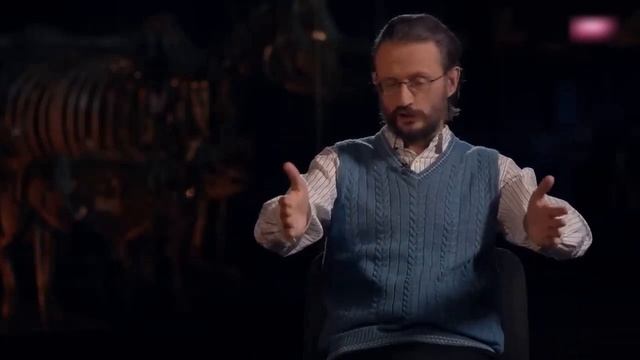 Открытия палеоантропологов, которые прославились на весь мир Станилав Дробышевский смотреть онлайн