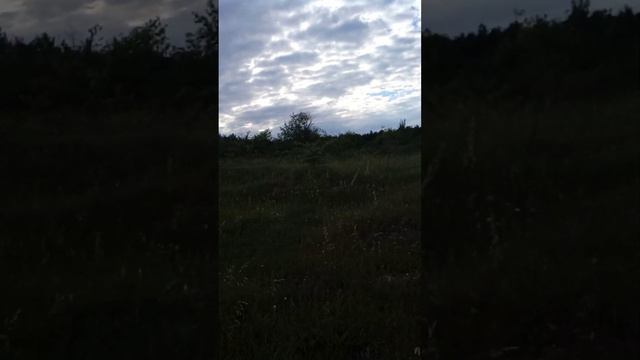 За что мы любим женщин ? ! смотреть онлайн