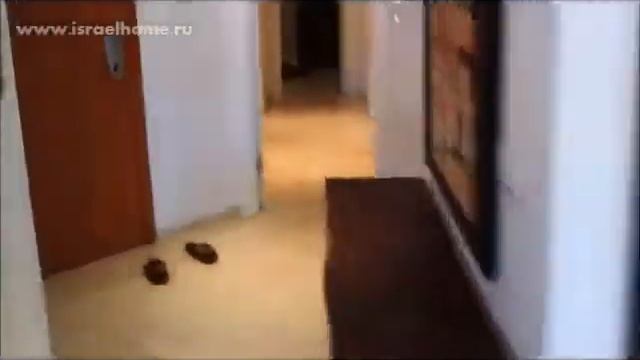 Снять квартиру в Герцлии Питуах http://arenda.israelhome.ru/rus/realestate/lot1088/ смотреть онлайн