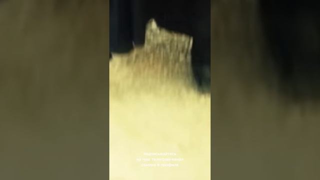 Старец Гавриил Ургебадзе