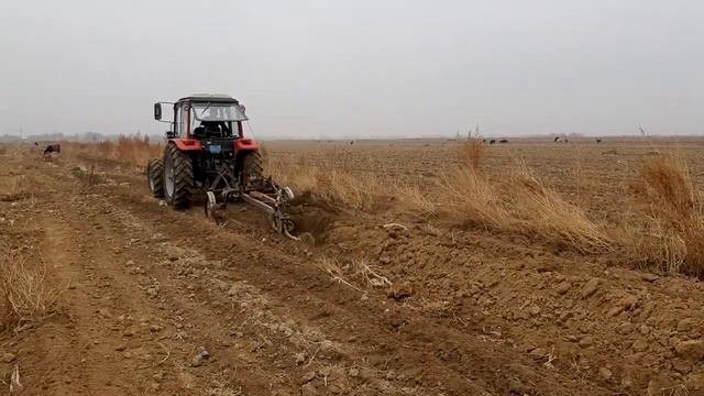 мтз 1220.1 двигатель ом366