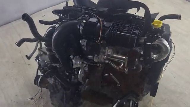 Контрактный Двигатель 1.5DCI K9K802 Renault Kangoo в наличие delfi стартер спереди смотреть онлайн