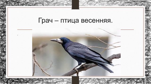 Тренировочный диктант "Грач - птица весенняя" для школьников 2-3 классов смотреть онлайн