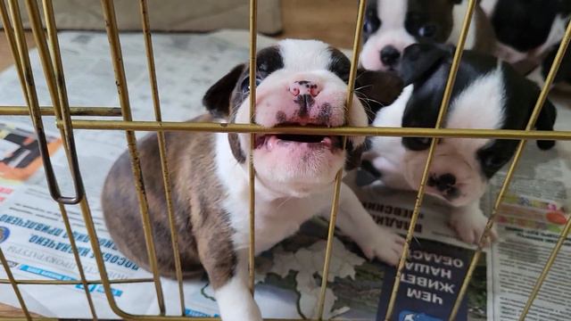 3 августа 2023 г.