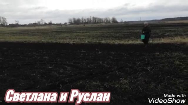 Посеели донник белый, горчицу, фацелию, гречиху и на поле пшеницу смотреть онлайн