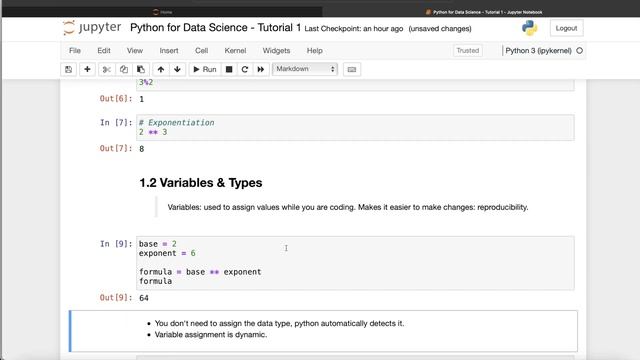 Python Variables, Data Types, Arithmetic, Exponents, Modulo | Tutorial 1 - Python for Data Science смотреть онлайн