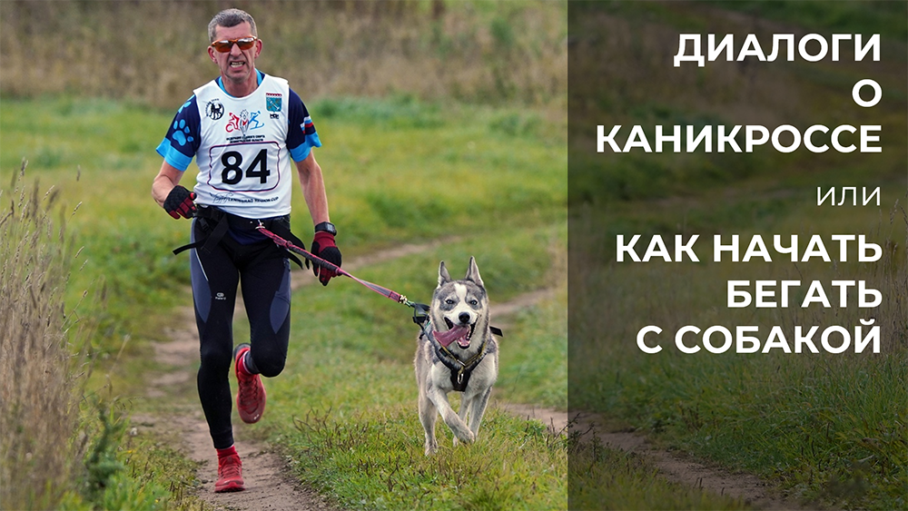 Как начать бегать с собакой или 