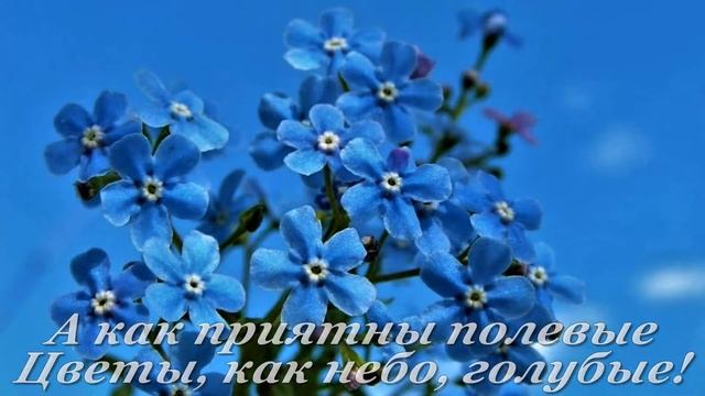 Ах, эти дивные цветы. Радуга цветов. смотреть онлайн