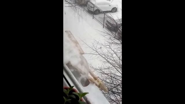 Зимовка птиц на кормушке смотреть онлайн