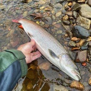 Погонял воблера и отчёт от рыбаков о работе воблеров ..mp4