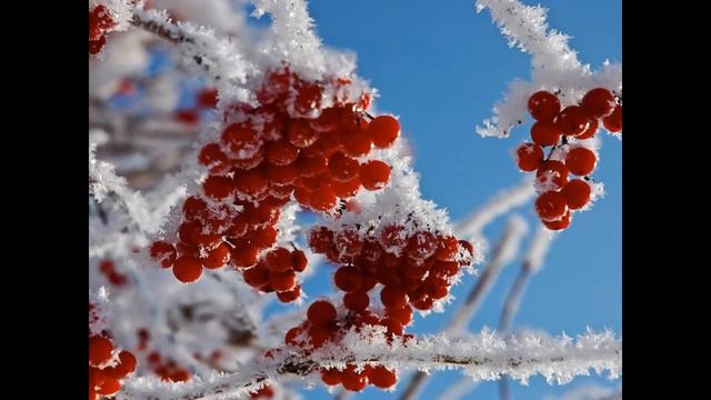 Зимние этюды - Слайд-Шоу