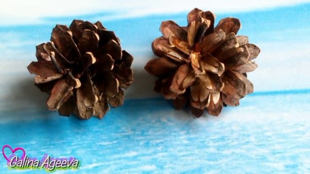 DIY Букет из шишек. Мастер-класс по изготовлению смотреть онлайн