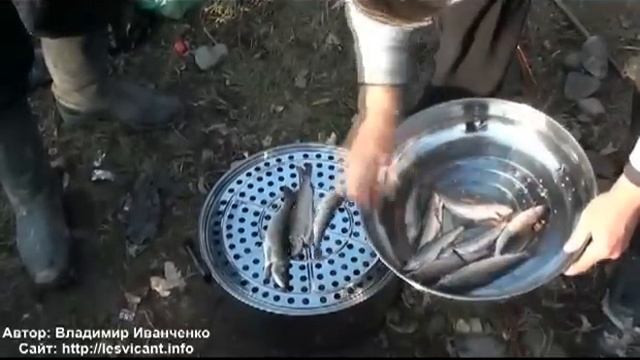 Приготовление хариуса горячего копчения - Любимое время жизни