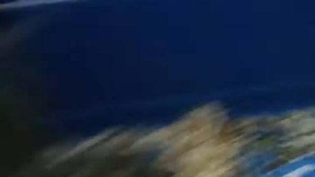 Это мой кролик смотреть онлайн