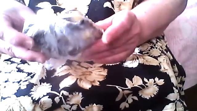 грибной супчик смотреть онлайн