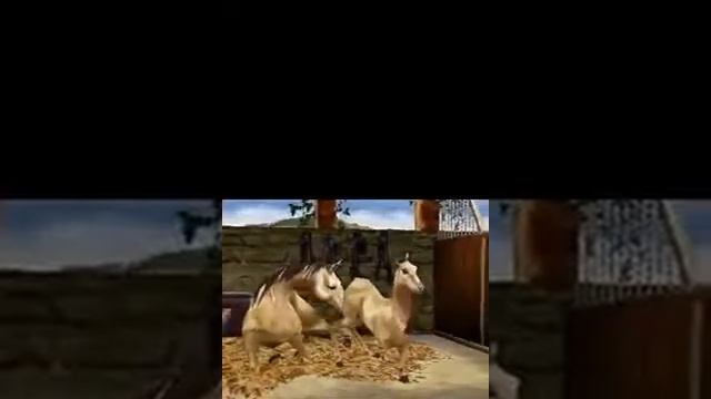 Horse Life ~ Adventures • NDS Gameplay смотреть онлайн