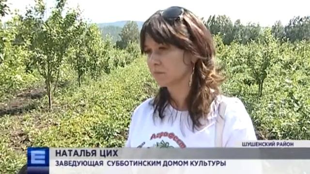 Фестиваль садовой земляники прошел в селе Субботино смотреть онлайн