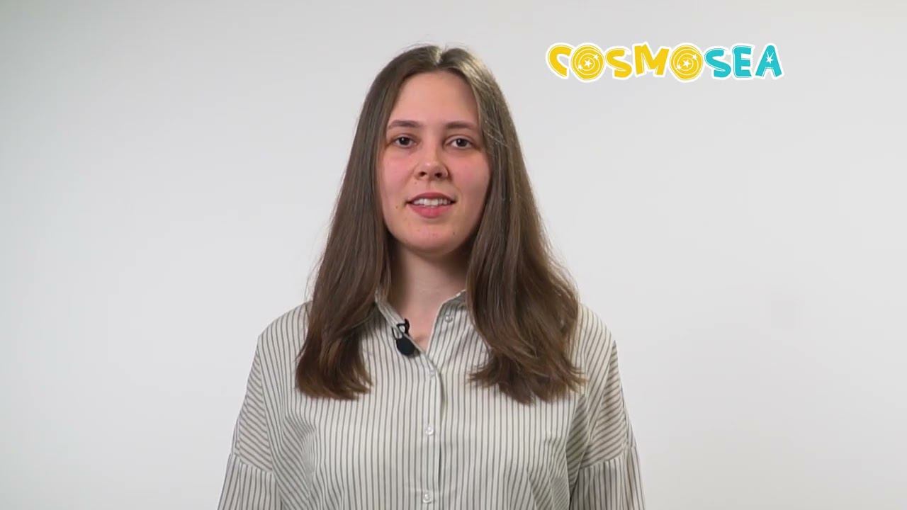 Программное обеспечение Cosmosea