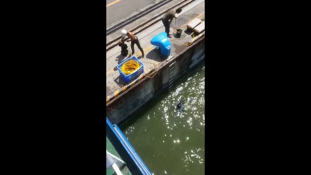 Водолазная инспекция подводной части корпуса судна/ВИДЕОДНЕВНИК VLOG№67 смотреть онлайн