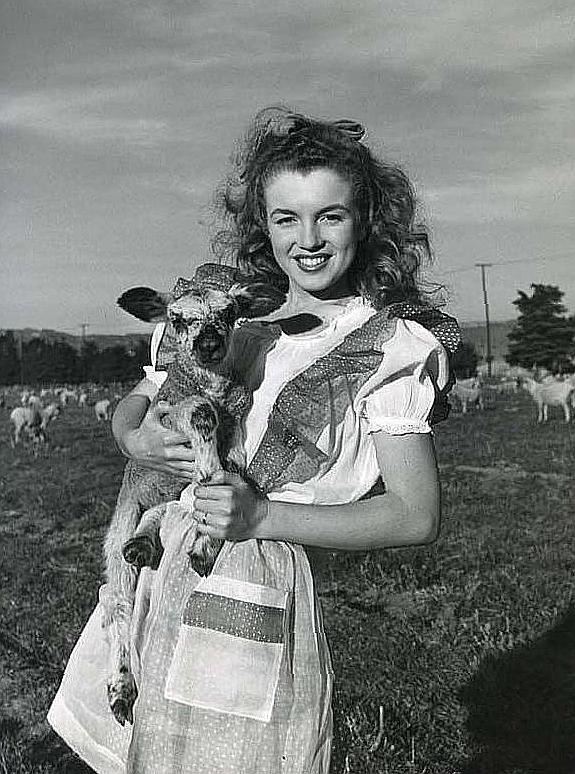 О чем расскажут старые фотографии смотреть онлайн