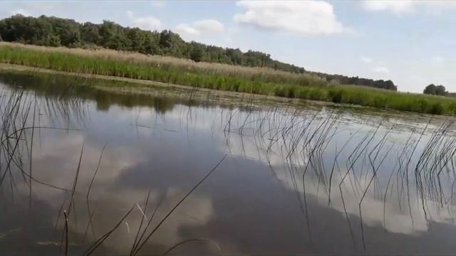 Ловля леща с лодки на поплавочную удочку на реке Шоша ,деревня Безбородово Тверская область. смотреть онлайн