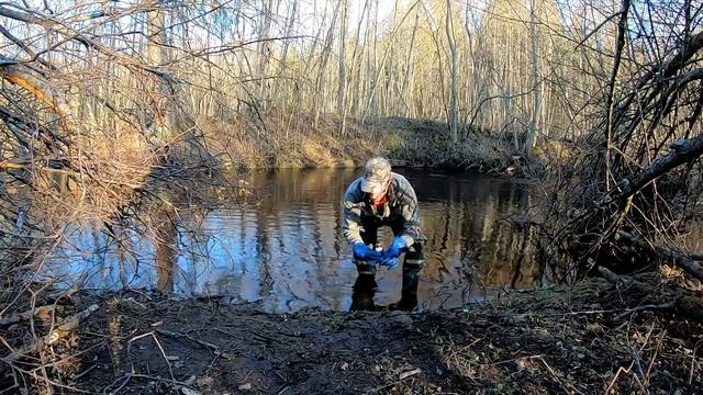 Приманка на бобра и выдру. Выдры и бобры, постановка и результат с фото-ловушки.
