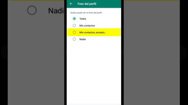Como Ocultar mi Foto de Perfil de Whatsapp a una Persona смотреть онлайн