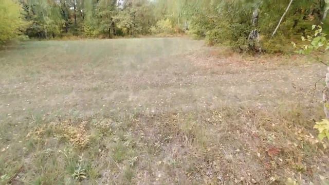 Фотоохота с Альбертом. В лес за корольком. смотреть онлайн
