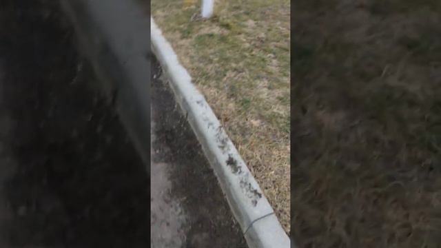 Около ЦКР г. Карачаевск, и звук азана доносящийся из мечети. 12 января 2022 год