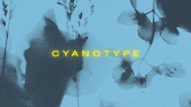 Download Floral Cyanotype Stock Graphics смотреть онлайн
