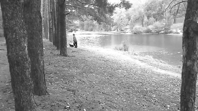 Человек с собакой.Видео- приложение к одной фотографии.2014.09.15 110435 смотреть онлайн