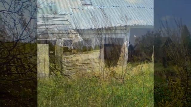 ЧЗО село Бычки смотреть онлайн