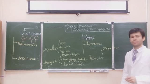 Приспособительные и компенсаторные процессы.mp4 смотреть онлайн