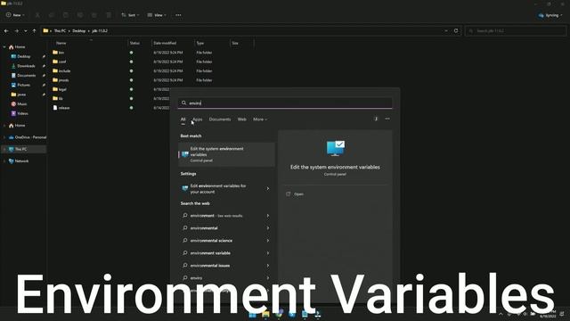 How to install Java JDK 11 for AHQ Local Agent on Windows смотреть онлайн