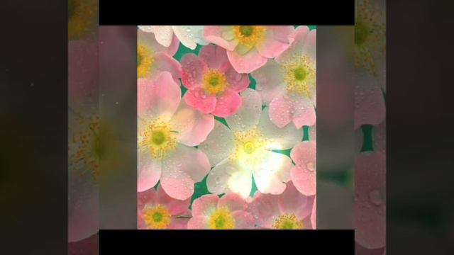 Нежная колыбельная Матери Земли смотреть онлайн