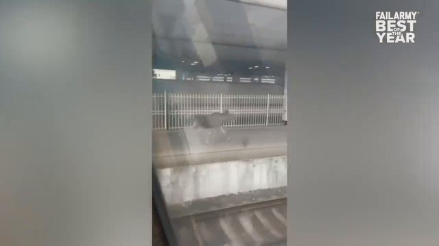 лучшие  Fails года