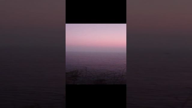 VID_20230414_185656.mp4