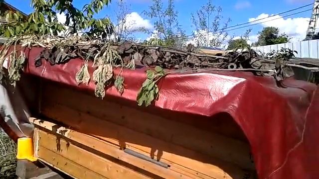 Колодное пчеловодство. Первый опыт. Фильма 2 смотреть онлайн