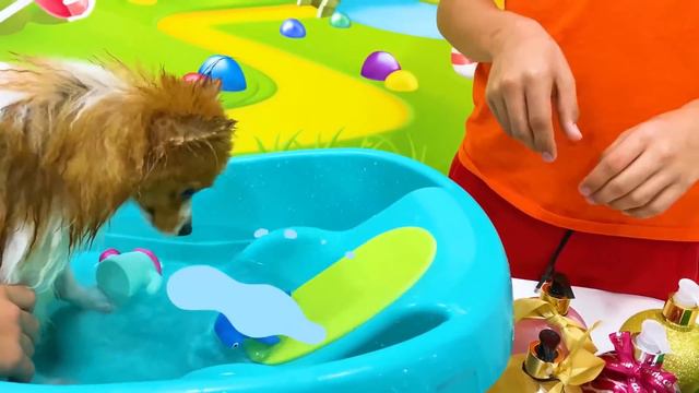 Настя и Артем купают Марти и учат ухаживать за домашними животными | Мия Настя и Артем смотреть онлайн