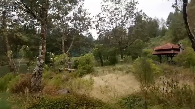 Kondisi Ranu Regulo di Tumbuhi Semak Belukar смотреть онлайн